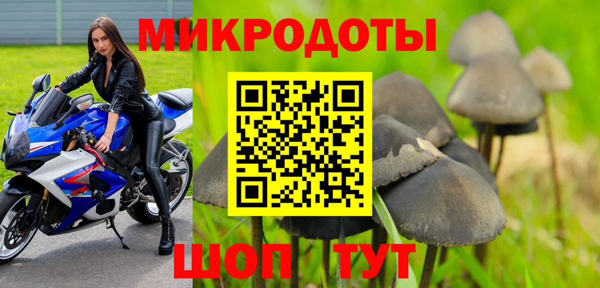Псилоцибиновые грибы Psilocybe Сатка