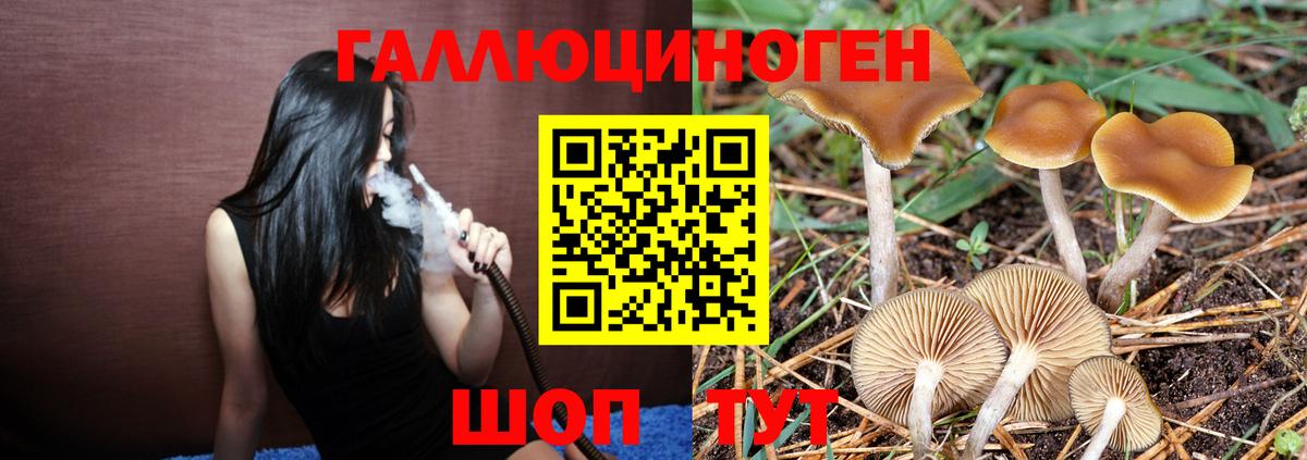 COCAIN  Меф МЯУ МЯУ  Вход с VPN  Сатка  ГАШ  Марихуана  Меф  